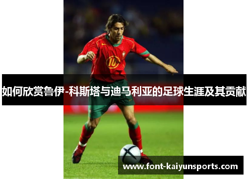 如何欣赏鲁伊-科斯塔与迪马利亚的足球生涯及其贡献