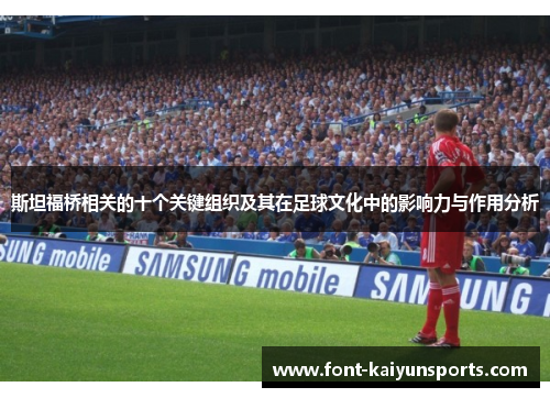 斯坦福桥相关的十个关键组织及其在足球文化中的影响力与作用分析