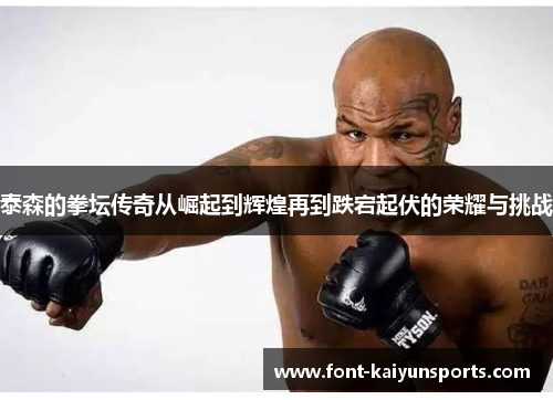 泰森的拳坛传奇从崛起到辉煌再到跌宕起伏的荣耀与挑战