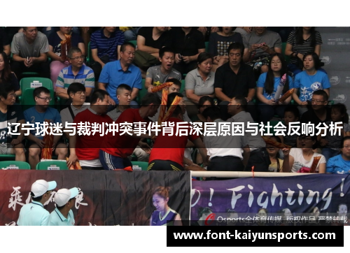 辽宁球迷与裁判冲突事件背后深层原因与社会反响分析