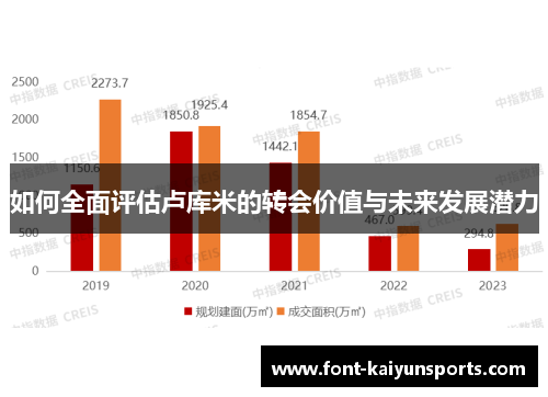 如何全面评估卢库米的转会价值与未来发展潜力 如何全面评估卢库米的转会价值与未来发展潜力