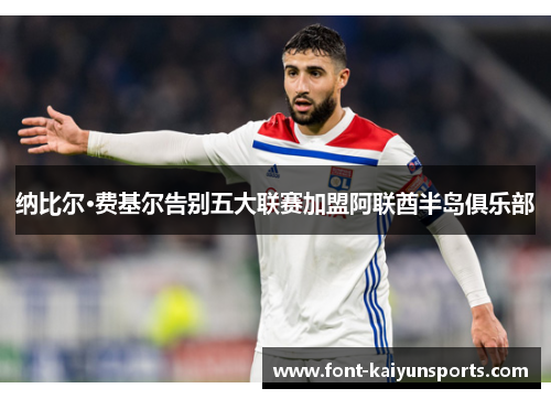 纳比尔·费基尔告别五大联赛加盟阿联酋半岛俱乐部 纳比尔·费基尔告别五大联赛加盟阿联酋半岛俱乐部